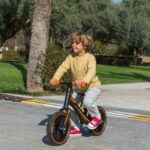 Balansinis dviratis vaikams – Feber