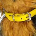 Interaktyvus vaikštantis žaislinis šuniukas vaikams