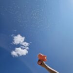 Muilo burbulų pistoletas su sparnais, rožinis