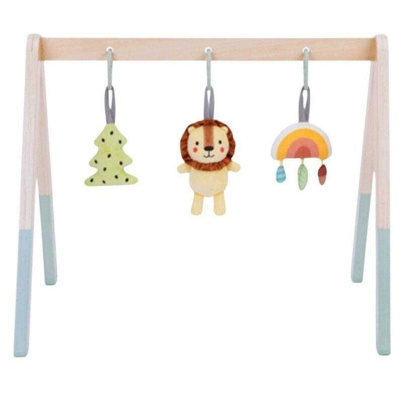 Medinis Užimtumo lankas kūdikiams – Tooky Toy
