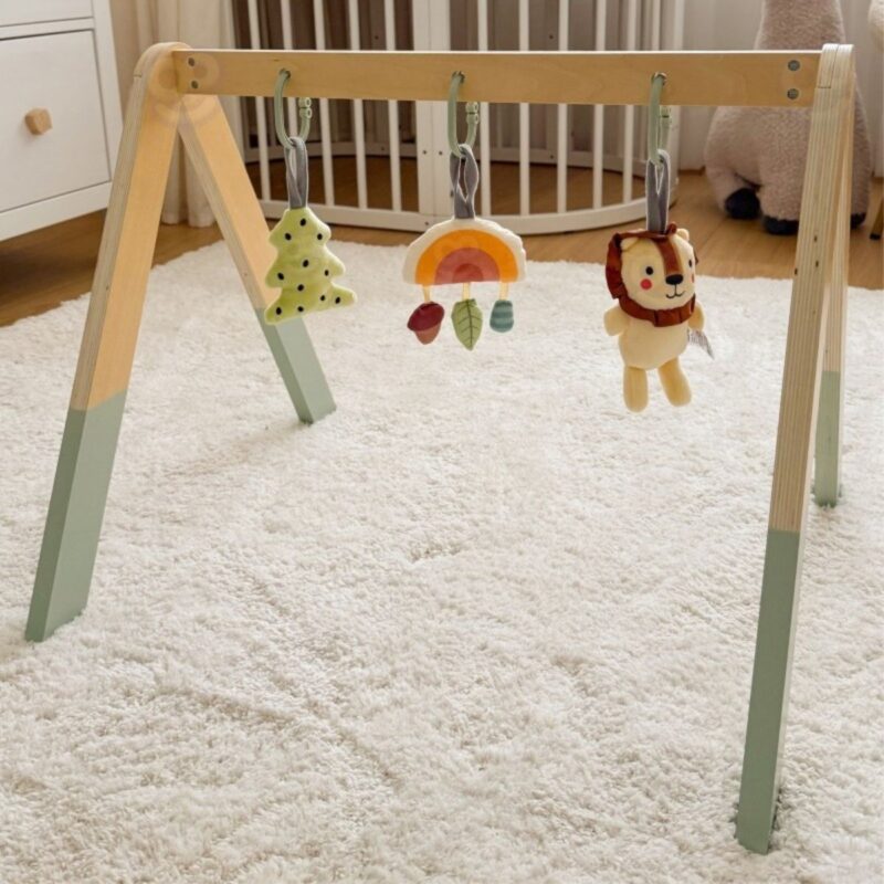 Medinis Užimtumo lankas kūdikiams – Tooky Toy