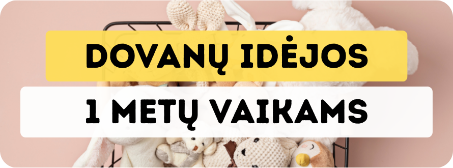 Ką dovanoti 1 metų vaikui? Geriausios dovanos – žaislas vaikams