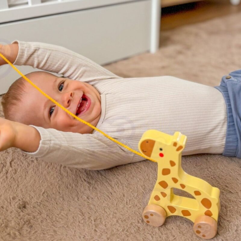 Medinis traukiamas žaislas vaikams "Žirafa" – Tooky Toy