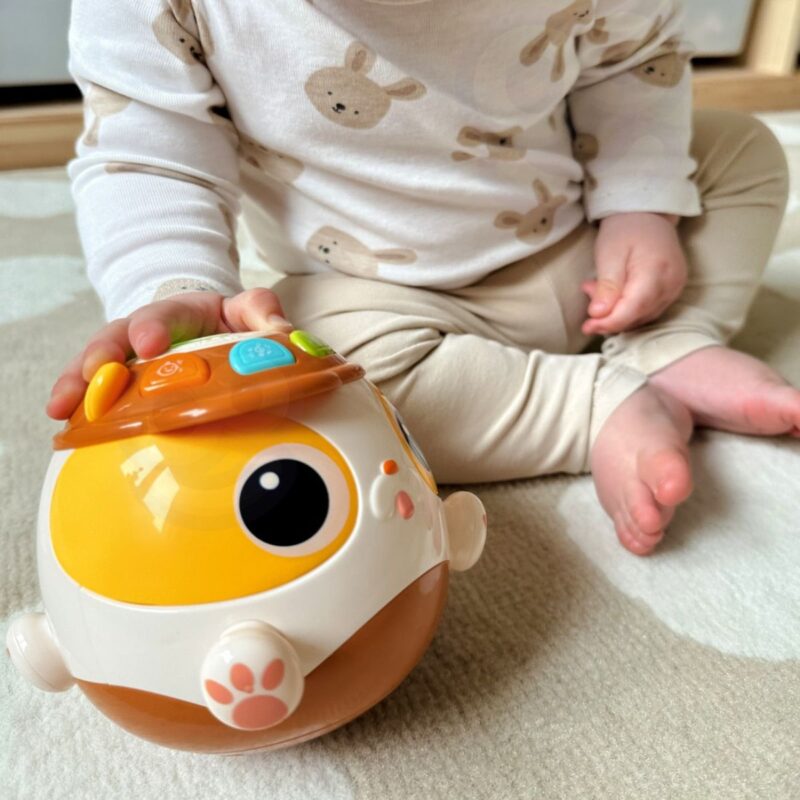Muzikinis žaislas vaikams nuo 18 mėn. "Šuniukas"