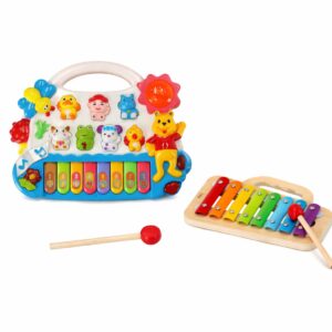 Muzikiniai žaislai, instrumentai