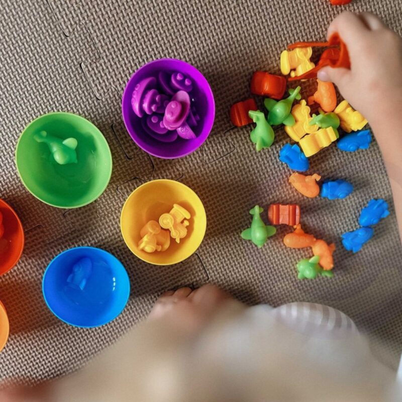 Vaikiškas edukacinis rūšiavimo rinkinys "Jūros gyventojai"