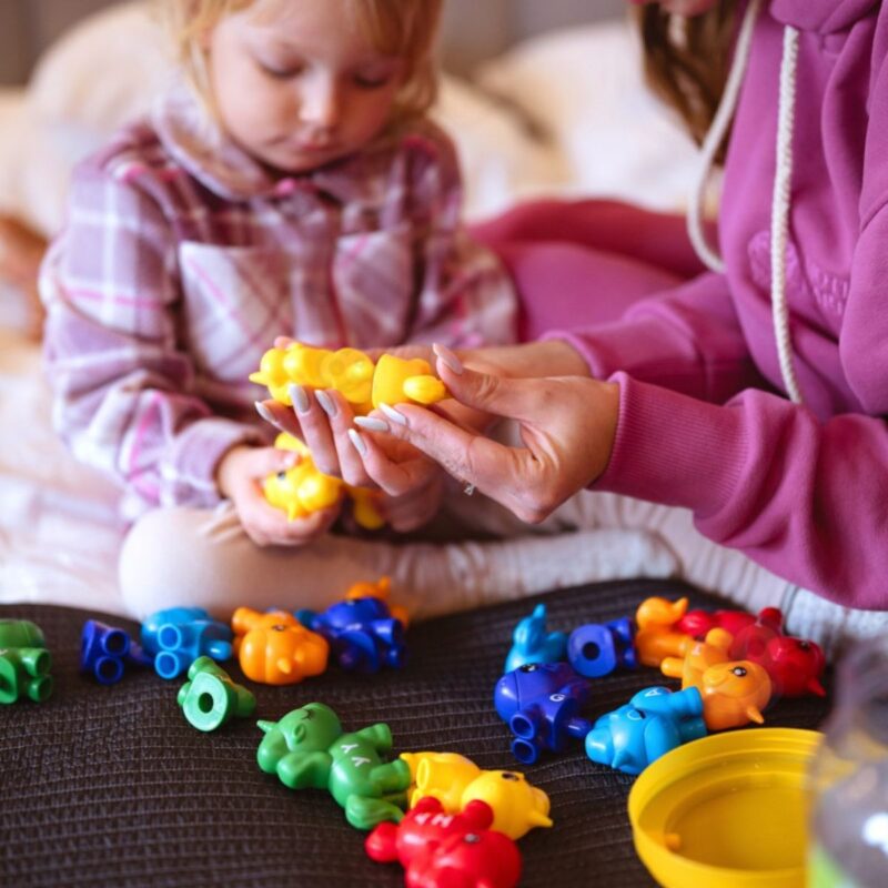 Montessori edukacinis vienaragių rinkinys vaikams (13 det.)