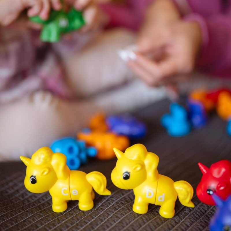 Montessori edukacinis vienaragių rinkinys vaikams (13 det.)