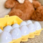 Montessori dėlionė nuo 3 metų „Formos ir spalvos“ – Woopie