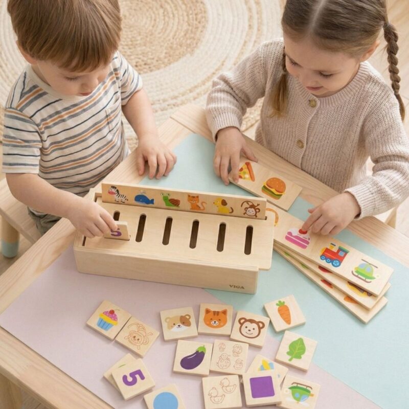 Medinis Montessori edukacinis rūšiuoklis vaikams nuo 3 metų