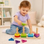 Tooky Toy geometrinė kaladėlių rūšiuoklė