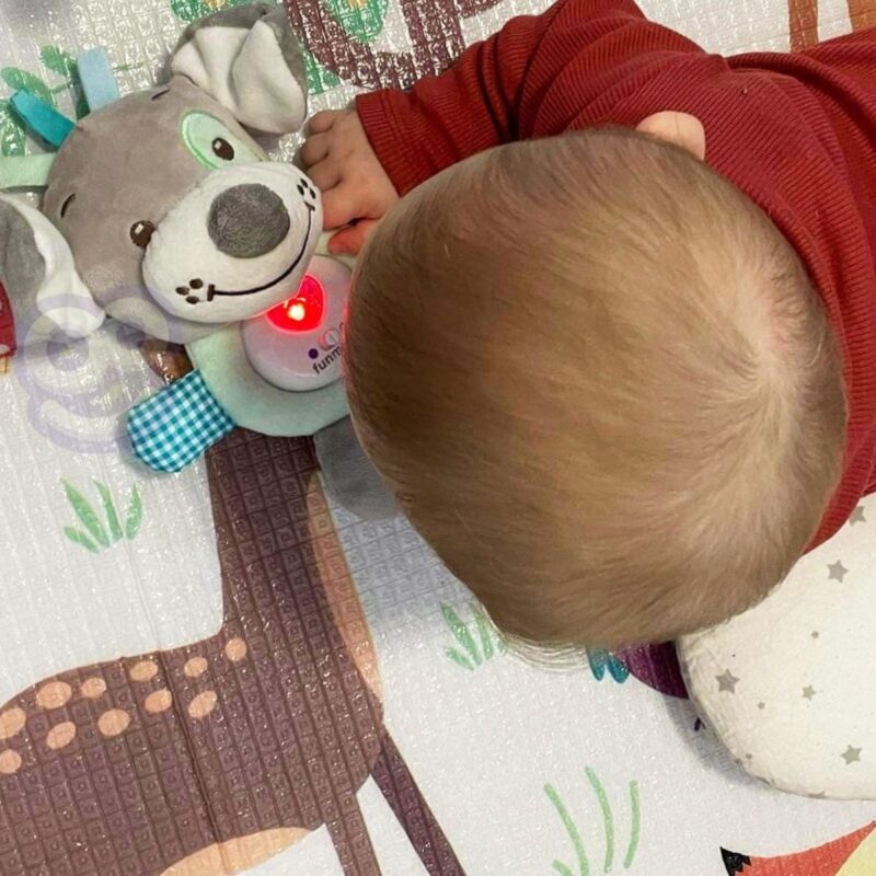 Pliušinis muzikinis migdukas kūdikiams – Woopie Baby