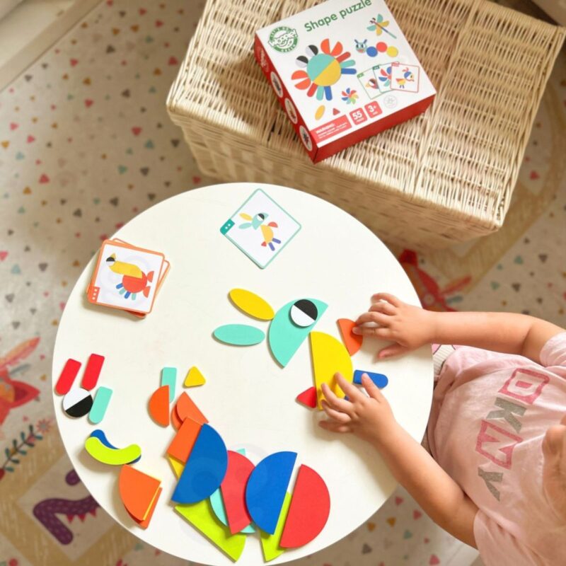 Medinė Montessori dėlionė vaikams nuo 3 metų (55 det.)